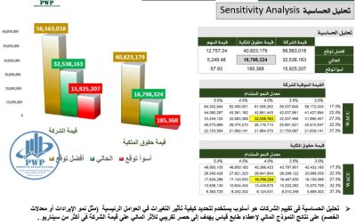 تقييم الشركات